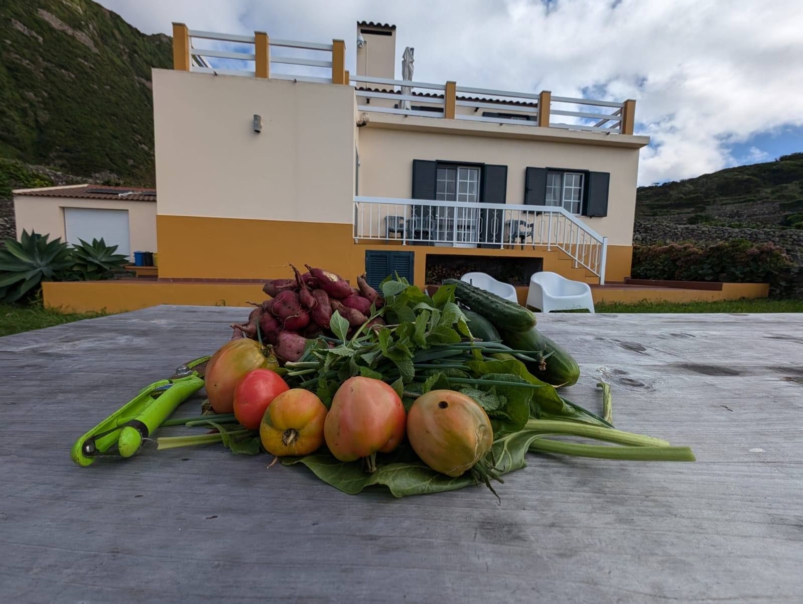 Tomatoes, sweet potatoes and greens from the farm on the garden table, the house behind